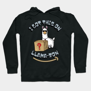 I got this on llama-zon Hoodie